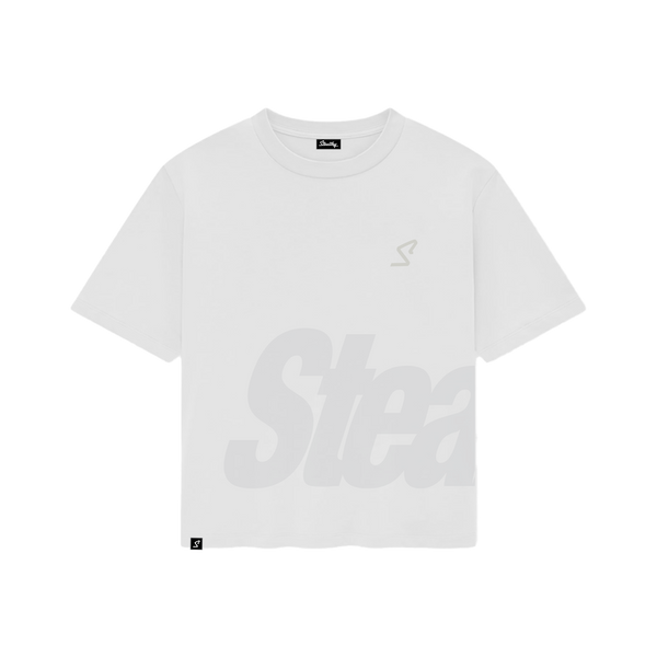 Stealthy White Tee Gray Script Logo